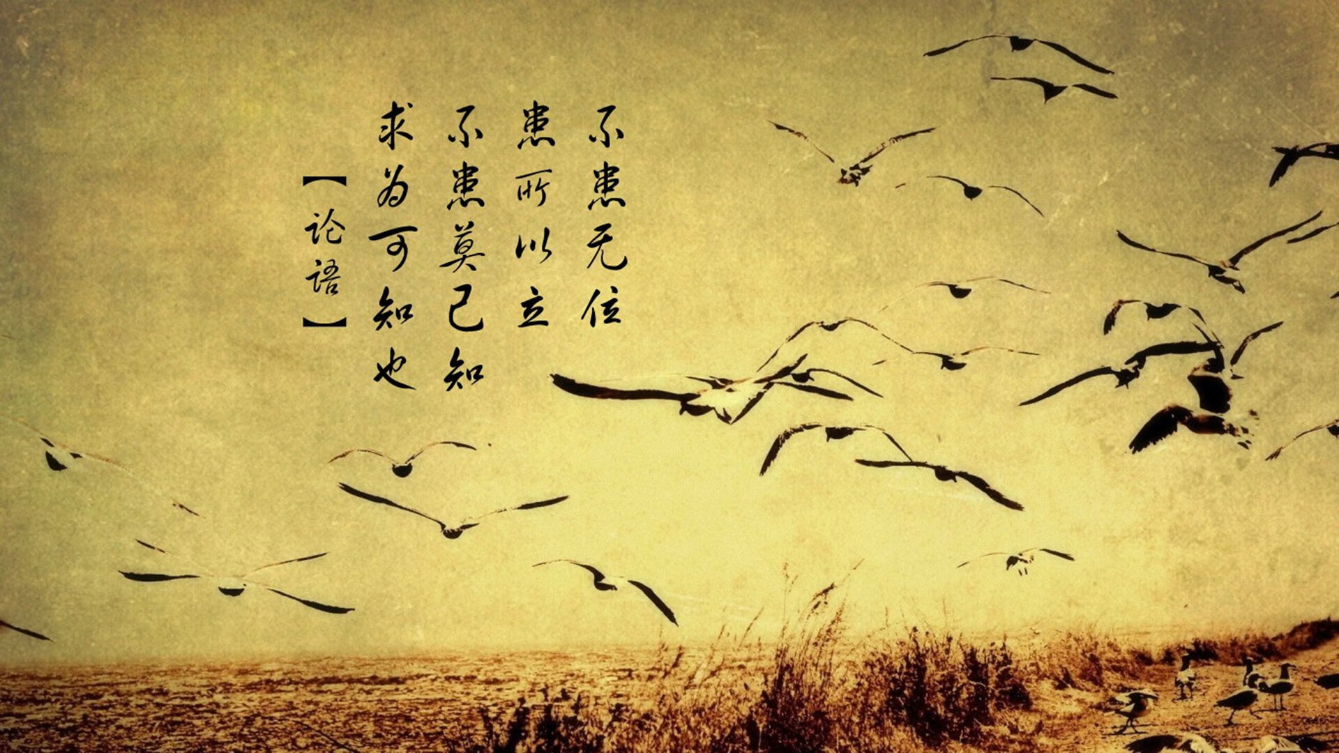 《Knight:韩国新一代ADC闪耀LCK舞台》,lck韩国sb战队